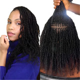 Rebecca Afro Kinky Bulk Human Hair for Braiding | Remy Virgin Brazilian Extensions (Multi-Color)