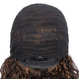 Sleek Curly Human Hair Wig | Brown Highlights | 13x1 T Part Lace Wig | Brazilian Remy Hair | Water Wave