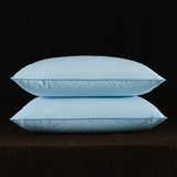 2pcs White Goose Down Feather Pillow for Sleeping Soft Bed Pillow with 100% Cotton Shell Standard Queen Size Back, Side Sleeper