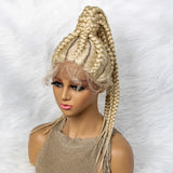 24" Braided Ponytail Wig | Lace Front with Baby Hair