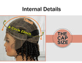 10" Natural Twist Braids Wig | Full Lace | Baby Hair | Short Braided Style