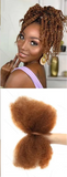 Choice Afro Kinky Bulk Human Hair | 100% Virgin Brazilian for Braids & Twists