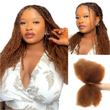 Rebecca Afro Kinky Bulk Human Hair for Braiding | Remy Virgin Brazilian Extensions (Multi-Color)