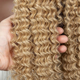 22" Box Braids Full Lace Wig | Two Curly Ponytails | Baby Hair | Synthetic Braided Wig