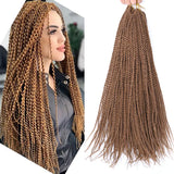 Full Star 30 Strand Pre-Twist Crochet Braids | Senegalese Twist | Ombre