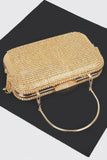 Rhinestone Fringe Hard Clutch