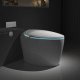 Unique Smart Toilet with Built-In Bidet