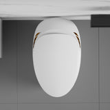 Unique Smart Toilet with Built-In Bidet