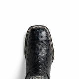 Alabama Black