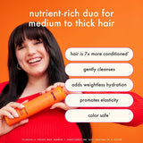 Amika Normcore Signature Shampoo