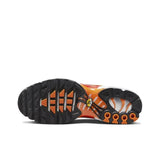 Nike Air Max Plus 'Light Photography'