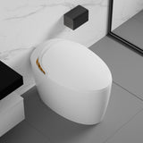 Unique Smart Toilet with Built-In Bidet