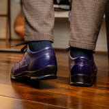 Bari Purple
