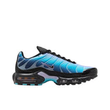 Nike Air Max Plus 'Black Hydrangeas'