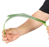 Bird of Paradise Artificial Plant 6 ft Tall, 2 Pack, Green