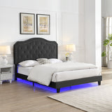 Queen Upholstered Bed Button Tufted with Curve Design