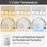 4-Light Brushed Bathroom Vanity Wall Light