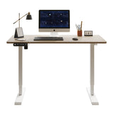 55"×24" Light Adjustable Electric Standing Desk