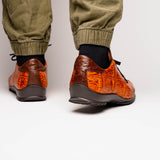 Saulo Brandy / Brown
