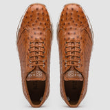 Scanno Antique Cognac